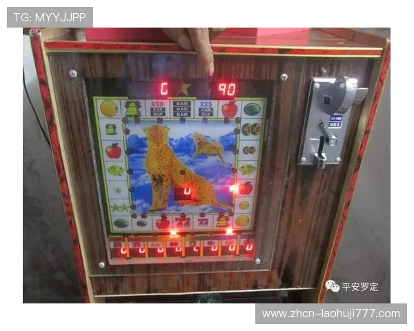 专业指导老虎机官网下载安装,提供完整操作流程与注意事项