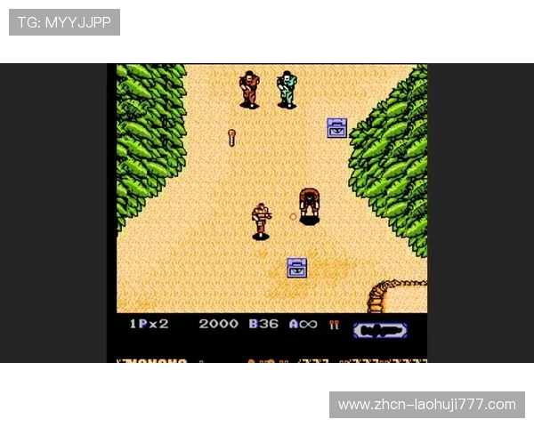 2024年最受欢迎的经典fc游戏排行榜，重温童年经典游戏的精彩瞬间